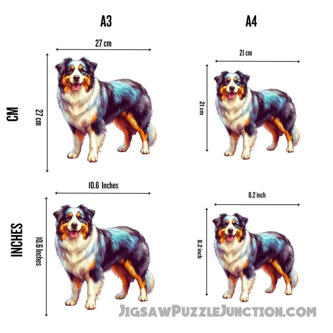 Australian Shepherd Dog - Jigsaw Puzzle